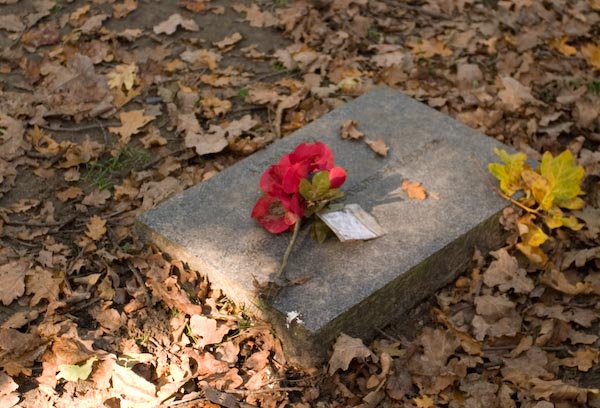 Langemark German WW1 Cemetery Each grave contains four  fallen.
